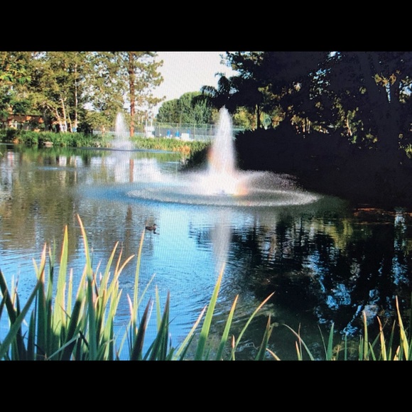 Not 4 sale - Picture 9 of 13